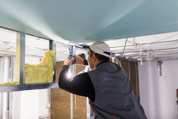 Best Blown-in Insulation in Chelsea, MI