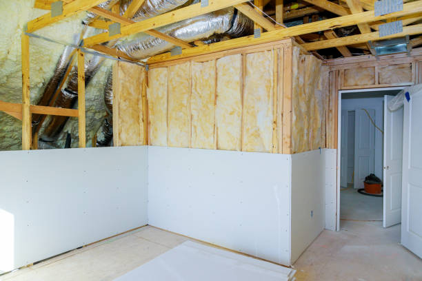 Best Insulation Maintenance and Repair in Chelsea, MI
