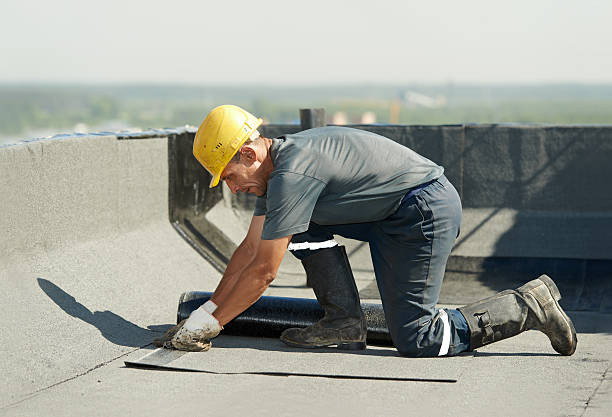 Best Residential Insulation in Chelsea, MI